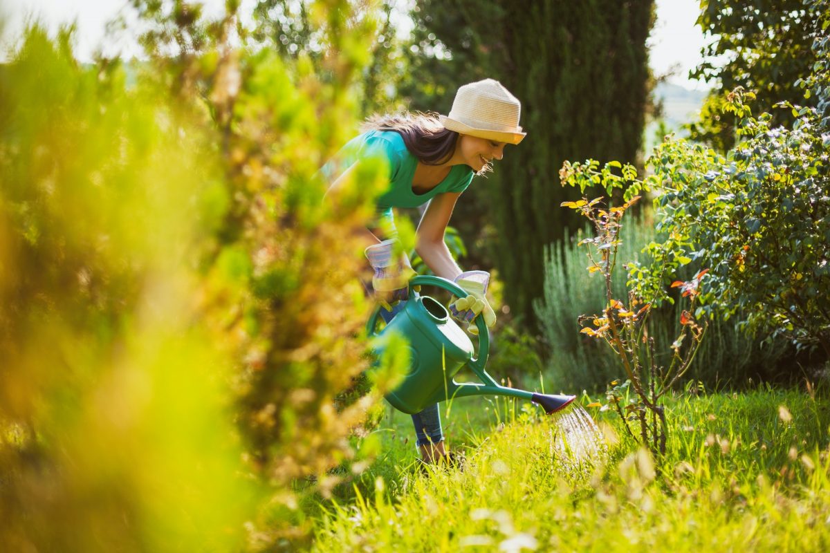 Gardening