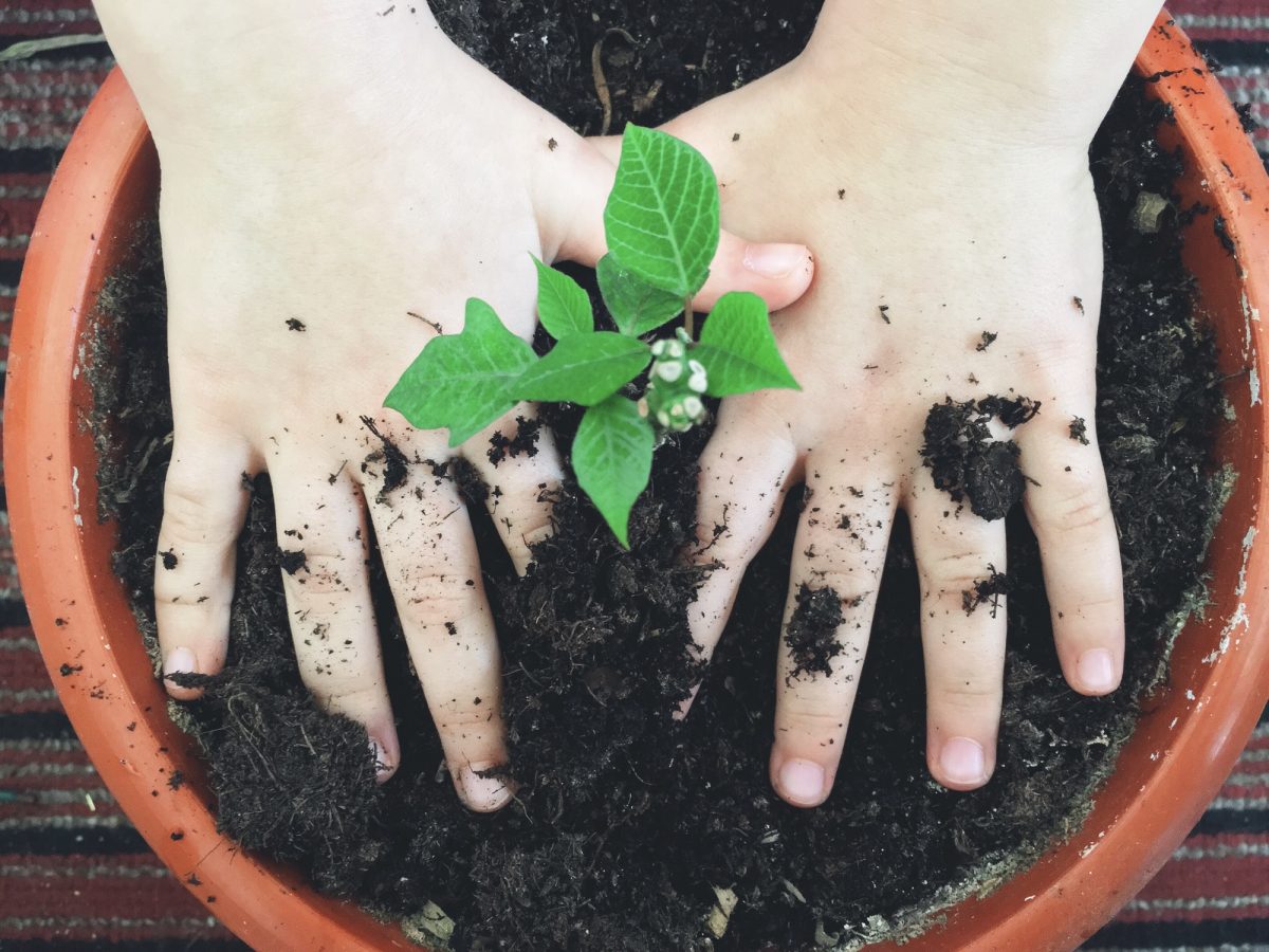 Gardening