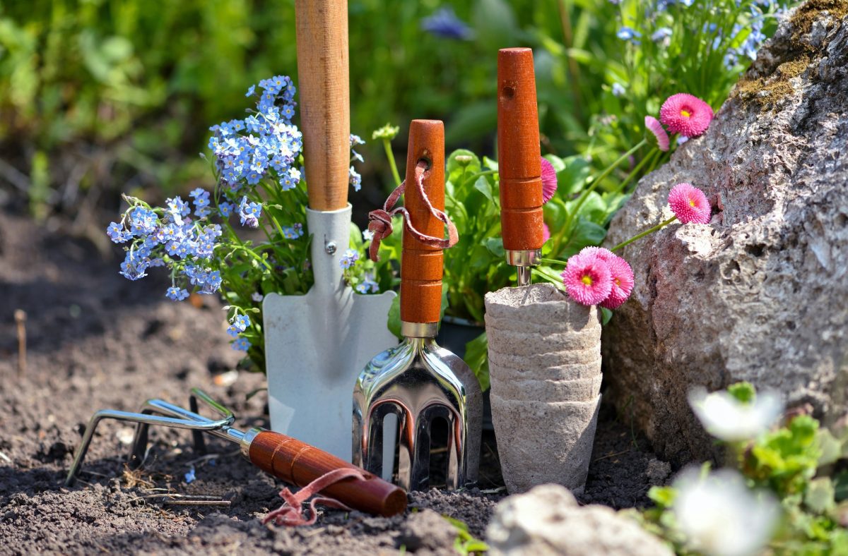 Gardening tools and spring flowers in the garden. Gardening concept.